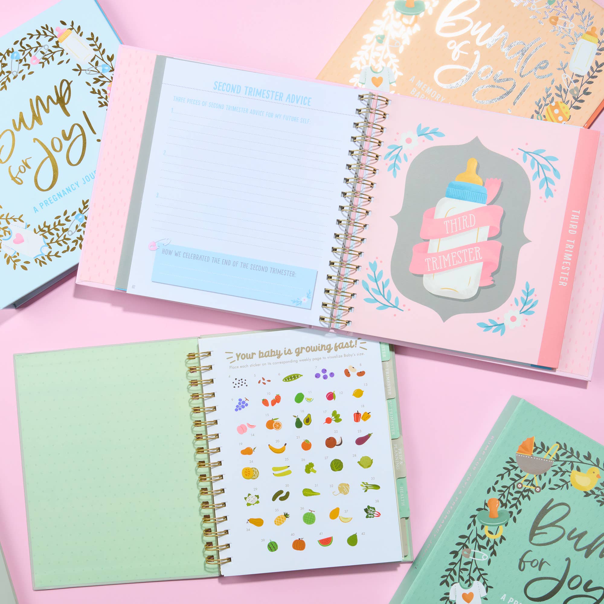 Bump for Joy: A Pregnancy Journal (Blue)