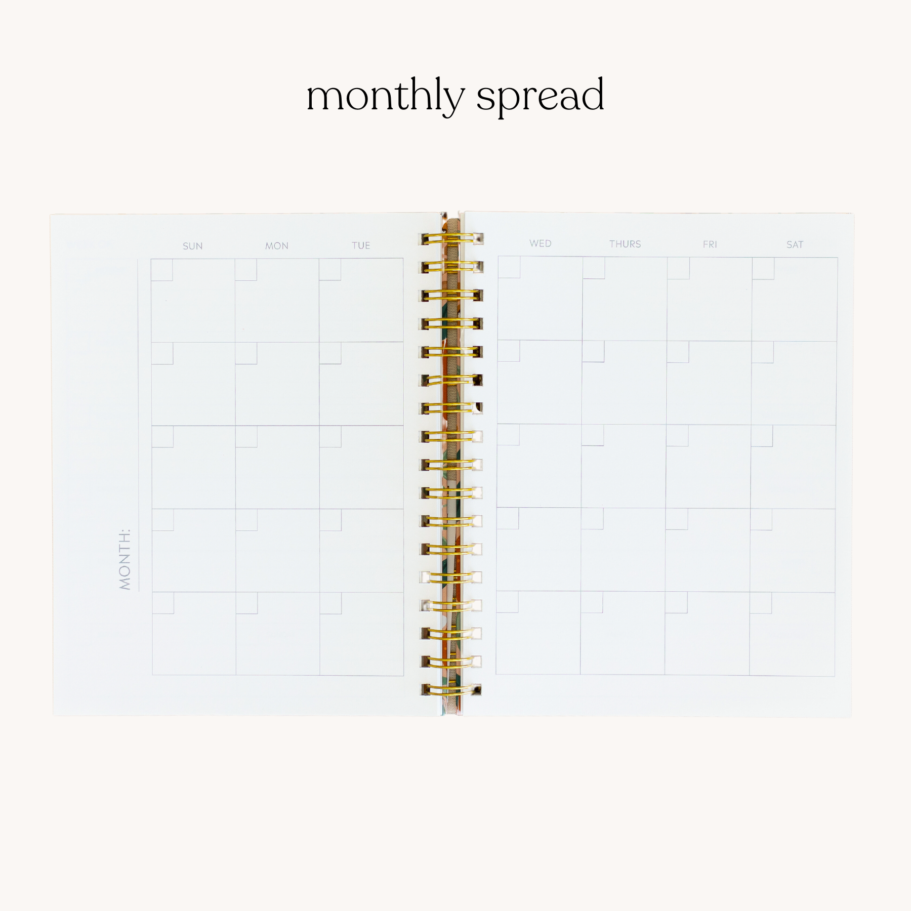 White Line Drawn Undated Planner