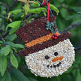 Load image into Gallery viewer, Christmas Cookie Assortment
