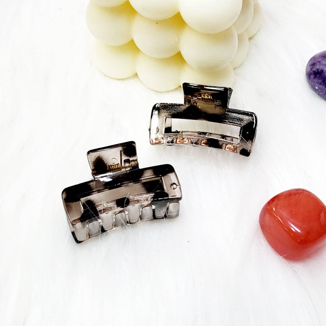 4 pcs Translucent and Matte Hair Claw Clip Set