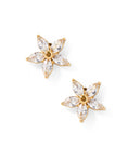 Load image into Gallery viewer, Screwback Stud Earrings - Lily
