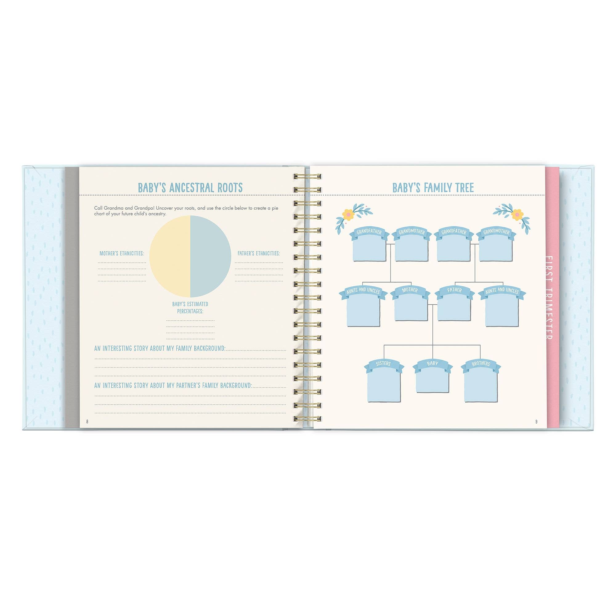 Bump for Joy: A Pregnancy Journal (Blue)