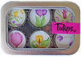 Load image into Gallery viewer, Tulips Magnets - Spring Decor
