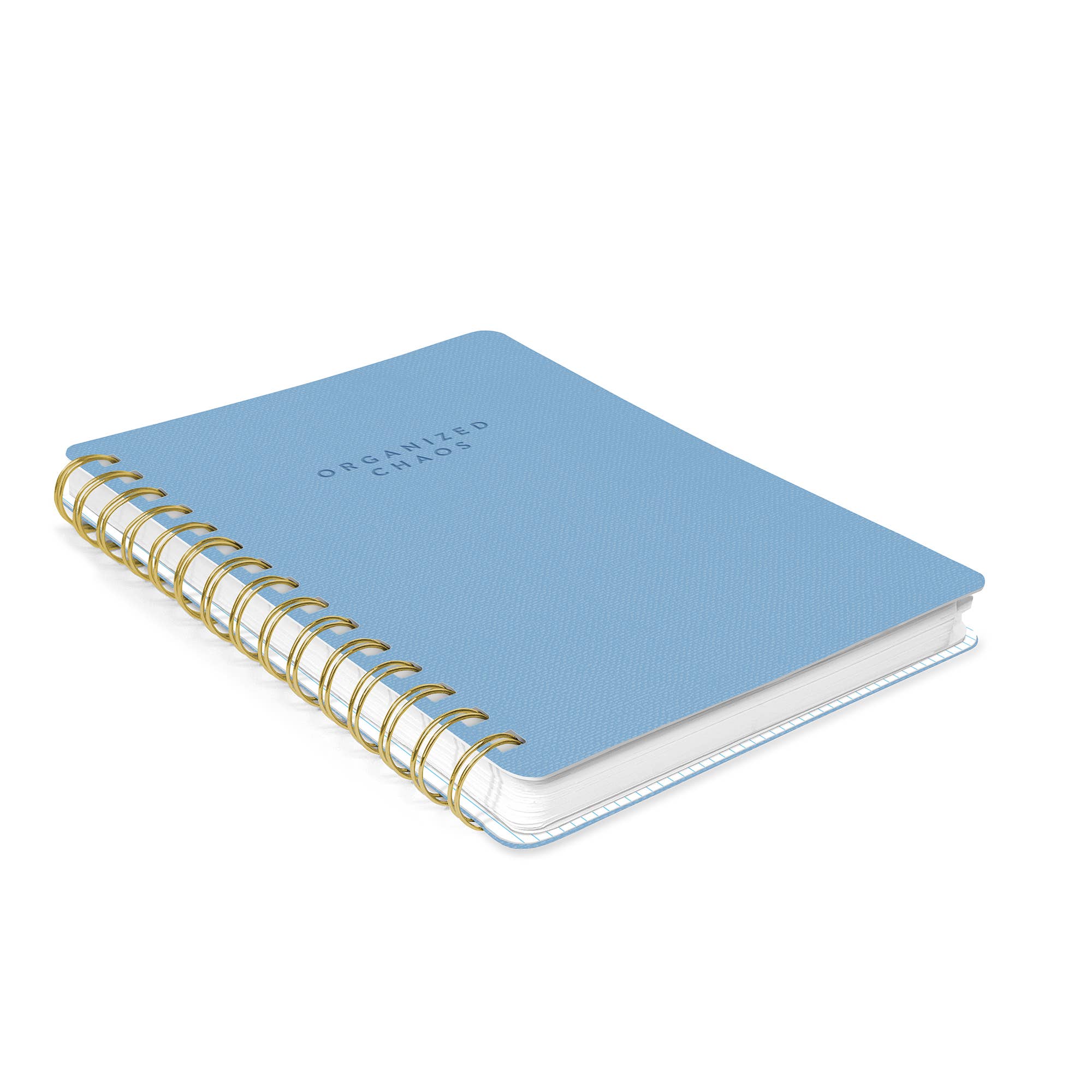 Organized Chaos (Sky Blue) Agatha Notebook