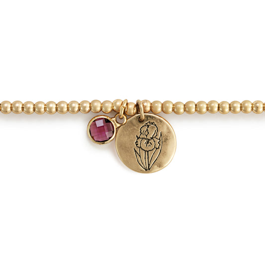Birthstone Charm Bracelet - February